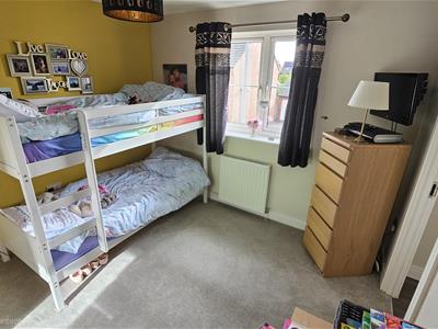 Picture 29